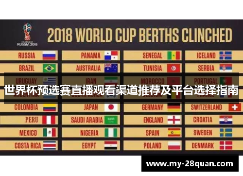 世界杯预选赛直播观看渠道推荐及平台选择指南