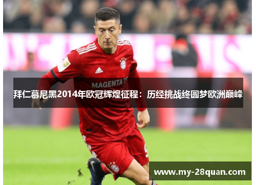 拜仁慕尼黑2014年欧冠辉煌征程：历经挑战终圆梦欧洲巅峰