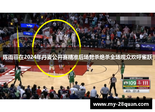 陈雨菲在2024年丹麦公开赛精准后场劈杀绝杀全场观众欢呼雀跃 陈雨菲在2024年丹麦公开赛精准后场劈杀绝杀全场观众欢呼雀跃