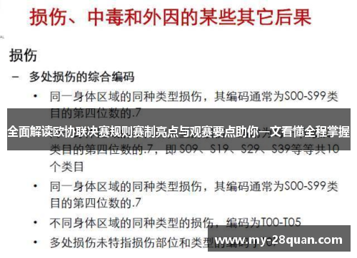 全面解读欧协联决赛规则赛制亮点与观赛要点助你一文看懂全程掌握