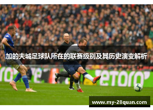 加的夫城足球队所在的联赛级别及其历史演变解析